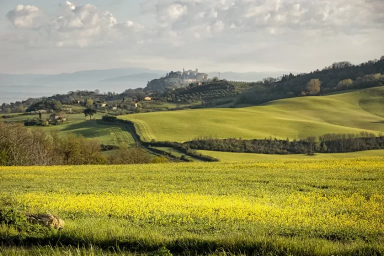 Villa Pianoia - Stay in Val d’Orcia Tuscany